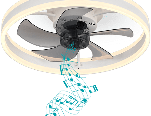 DewShrimp B Flush Mount Ceiling Fan with Light Installation Video