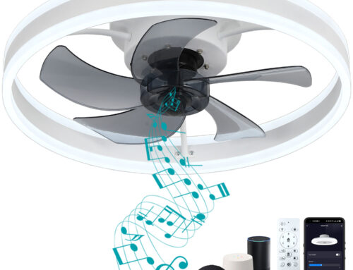 DewShrimp Flush Mount Ceiling Fan with Light Installation Video