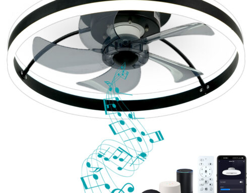 DewShrimp Flush Mount Ceiling Fan with Light Installation Video