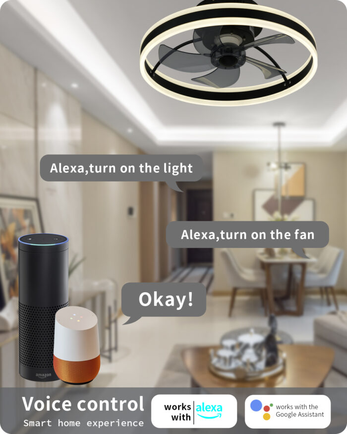 DewShrimp Wifi Low Profile Ceiling Fan Flush Mount Bladeless Ceiling Fan with Remote+App Smart Ceiling Fan - Image 3
